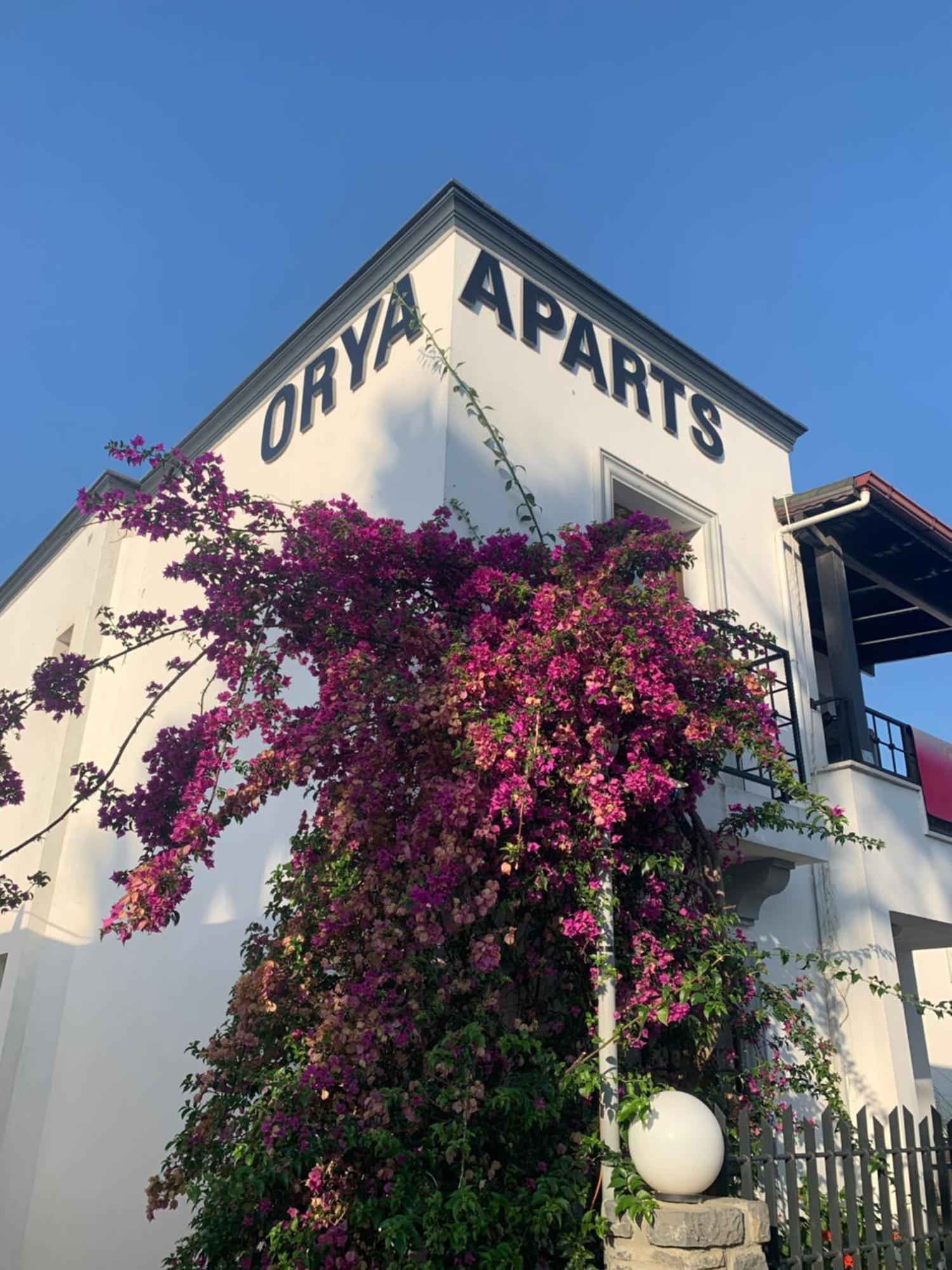 Orya Aparts Gümbet Extérieur photo